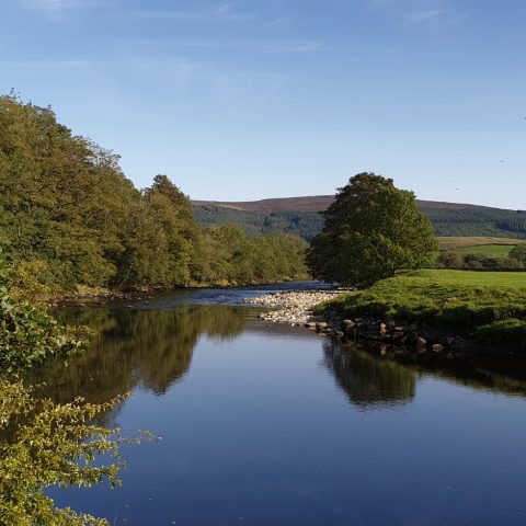 A nearby river