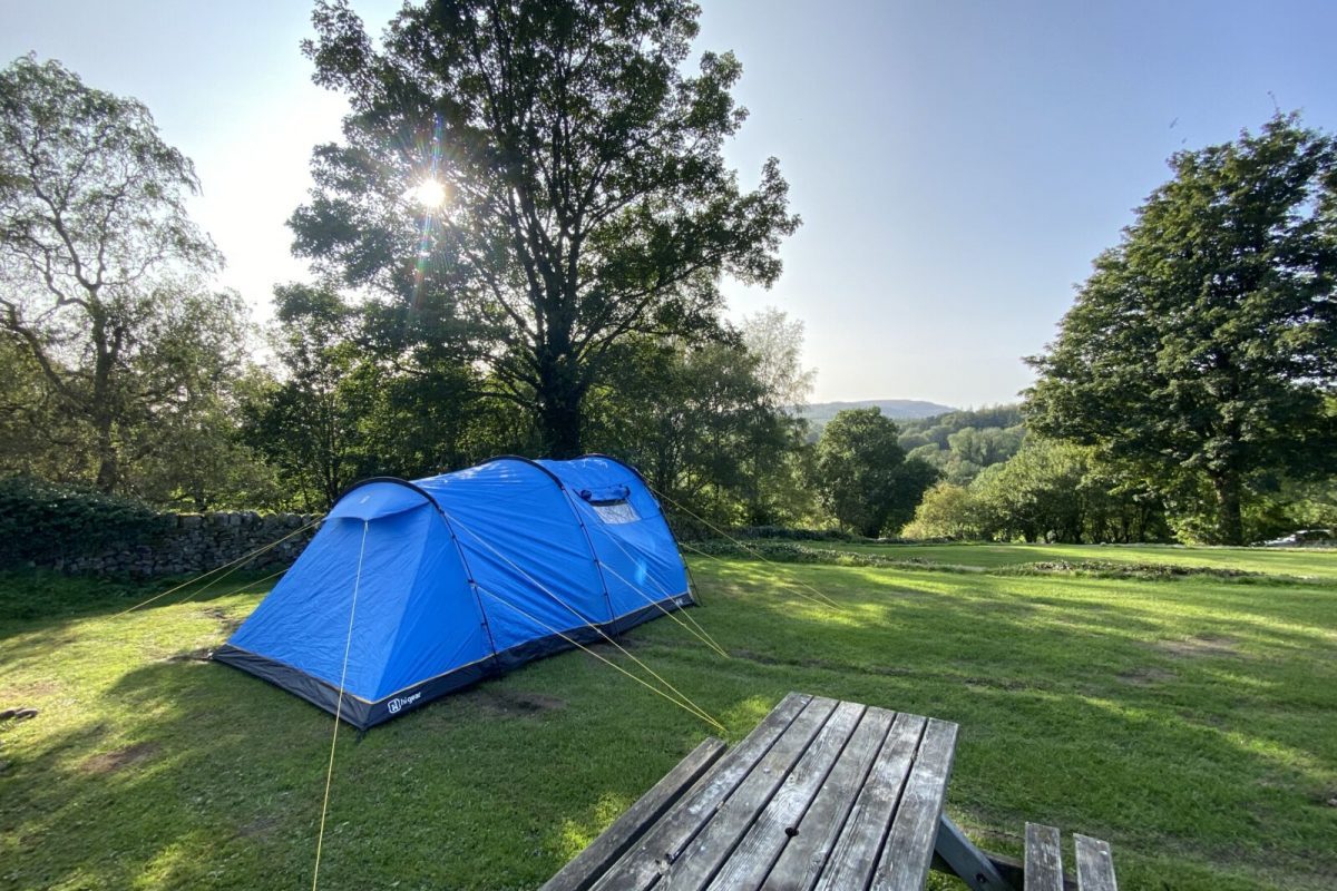 Pitched tent next to a bench with the sun shining above