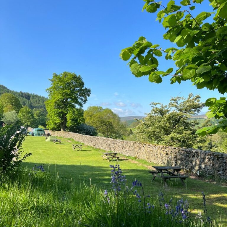 Electric & NonElectric Camping Tent pitches in the Yorkshire Dales at