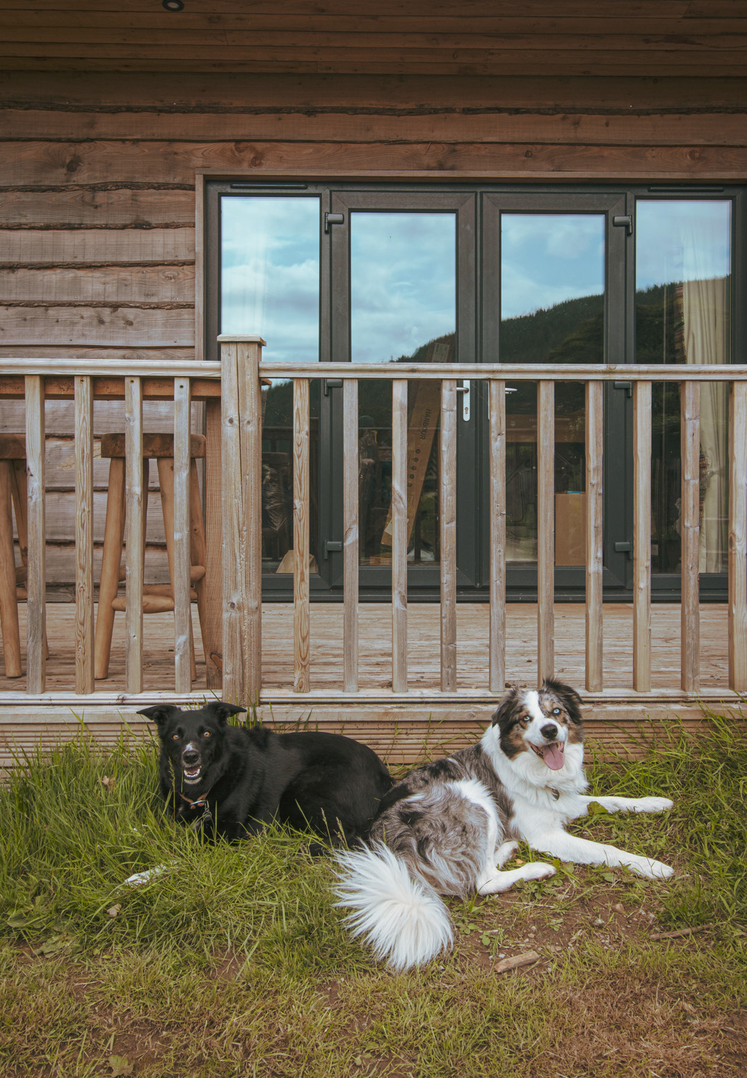 With breathtaking views and a dedicated private field, Howgill Lodge is a paradise where dogs can play, explore, and unwind.