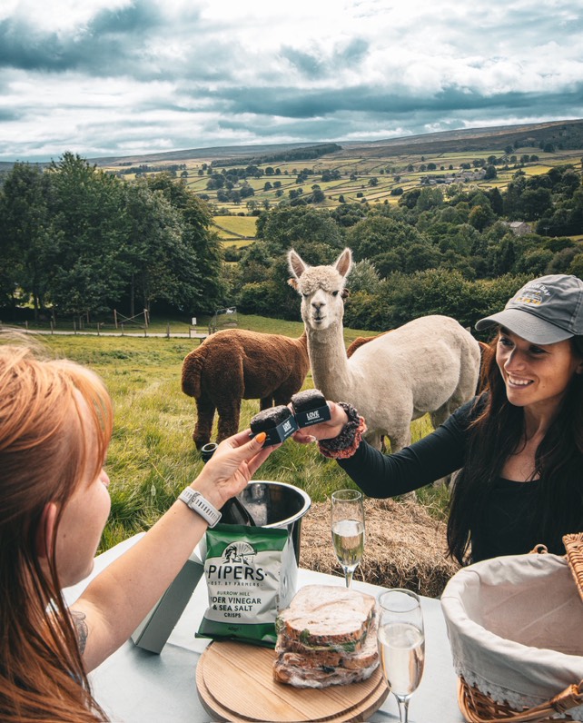 Alpaca Experience in Barden